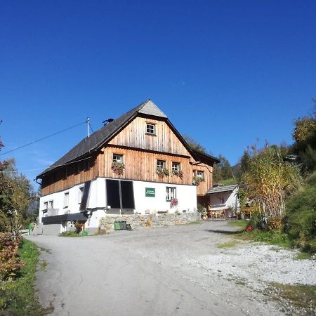 Landhaus Gschmeidler Selzthal Extérieur photo